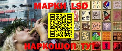 гидра Моздок