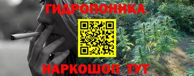 гидра Моздок