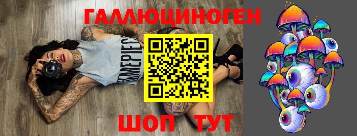 Волгоград  Псилоцибиновые грибы Psilocybine cubensis  наркота  Вход с VPN 